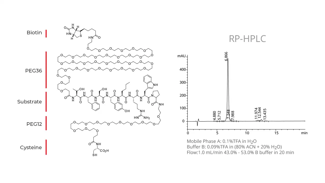 an RP-HPLC chromatogram of a crude peptide with the main peak, a leading impurity shoulder and a late-eluting hydrophobic impurity labelled, ved siden af
