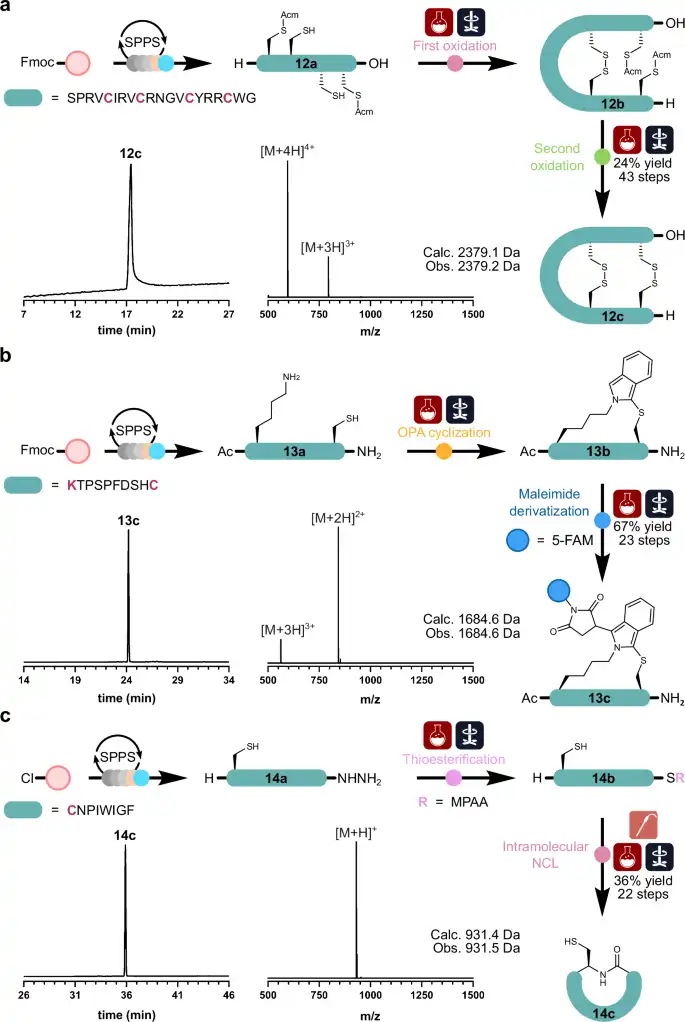 an annotated stability-indicating chromatogram with the main peptide peak and labelled degradation-product peaks for oxidation, deamidation and trunca