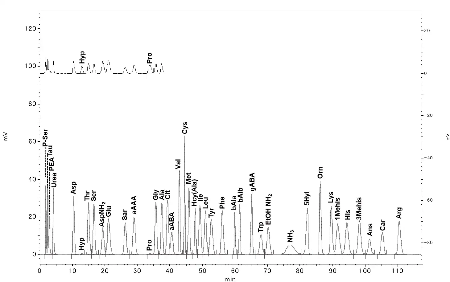 a representative chromatogram with the integration baseline, peak labels, system suitability fields and the batch/lot identifier visible in the header