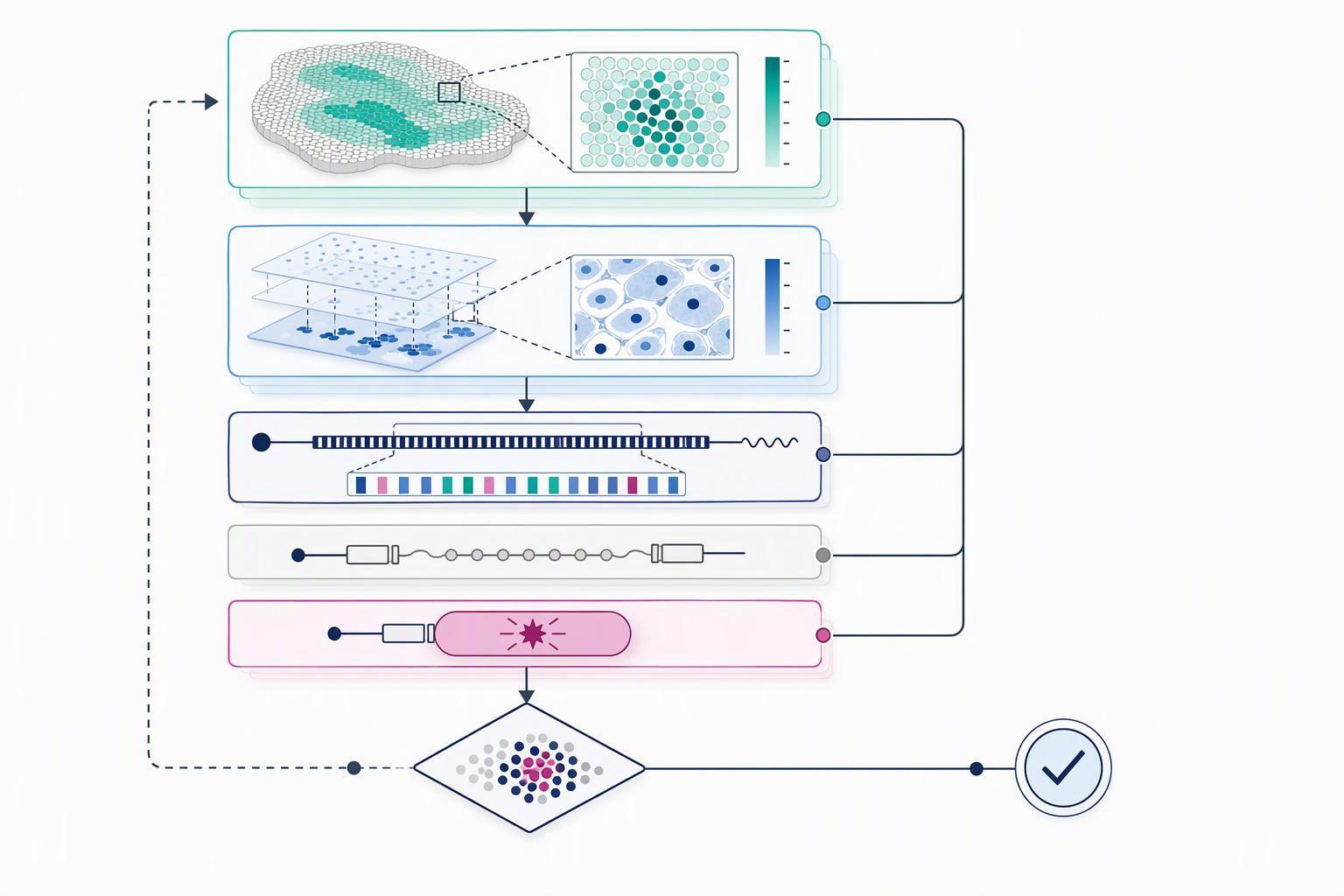 a left-to-right flow from a spatial expression map, through an accessibility and density check, to a probe specification