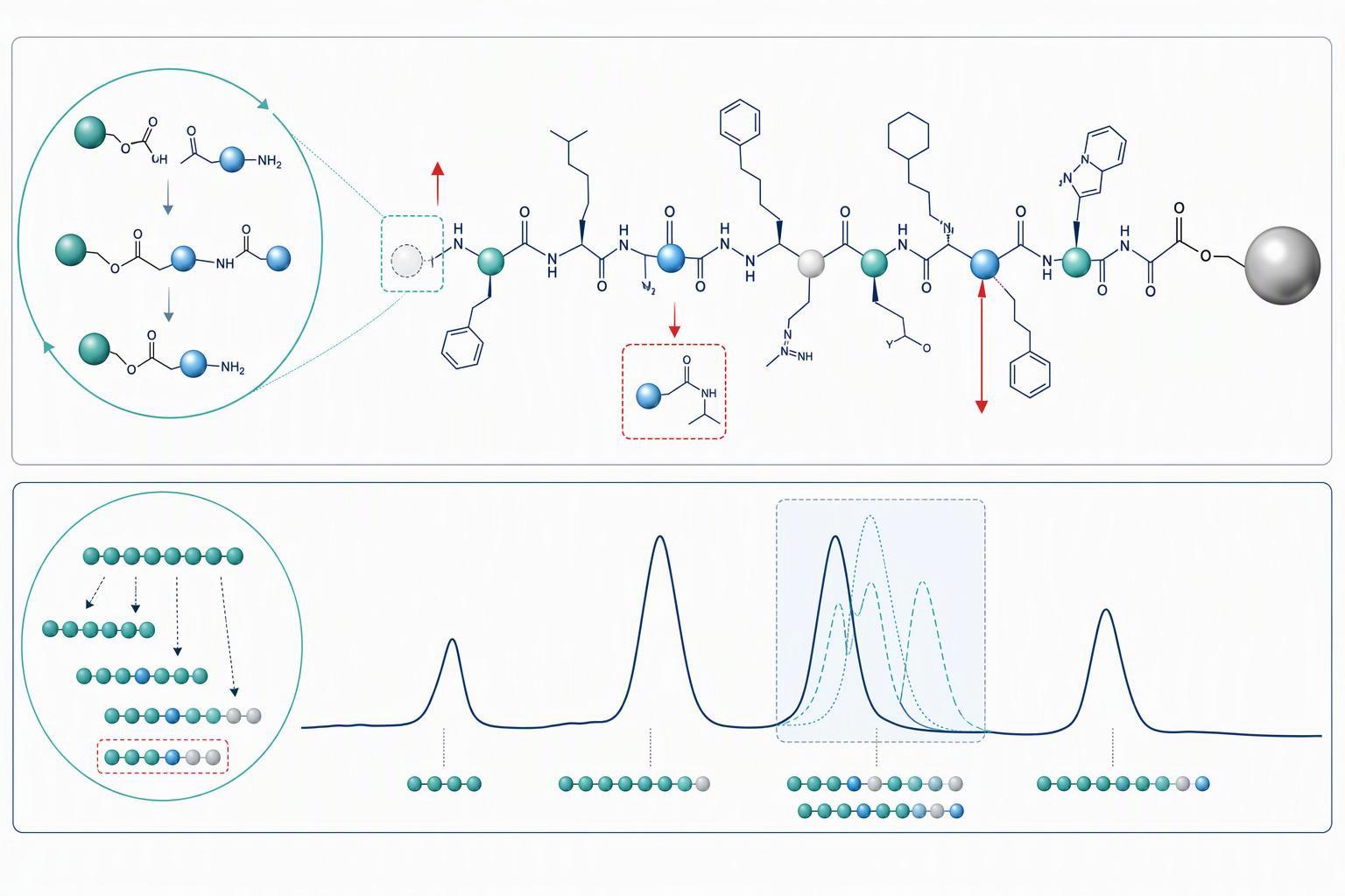 a schematic of solid-phase peptide synthesis showing where deletion, truncation and racemisation impurities arise along the