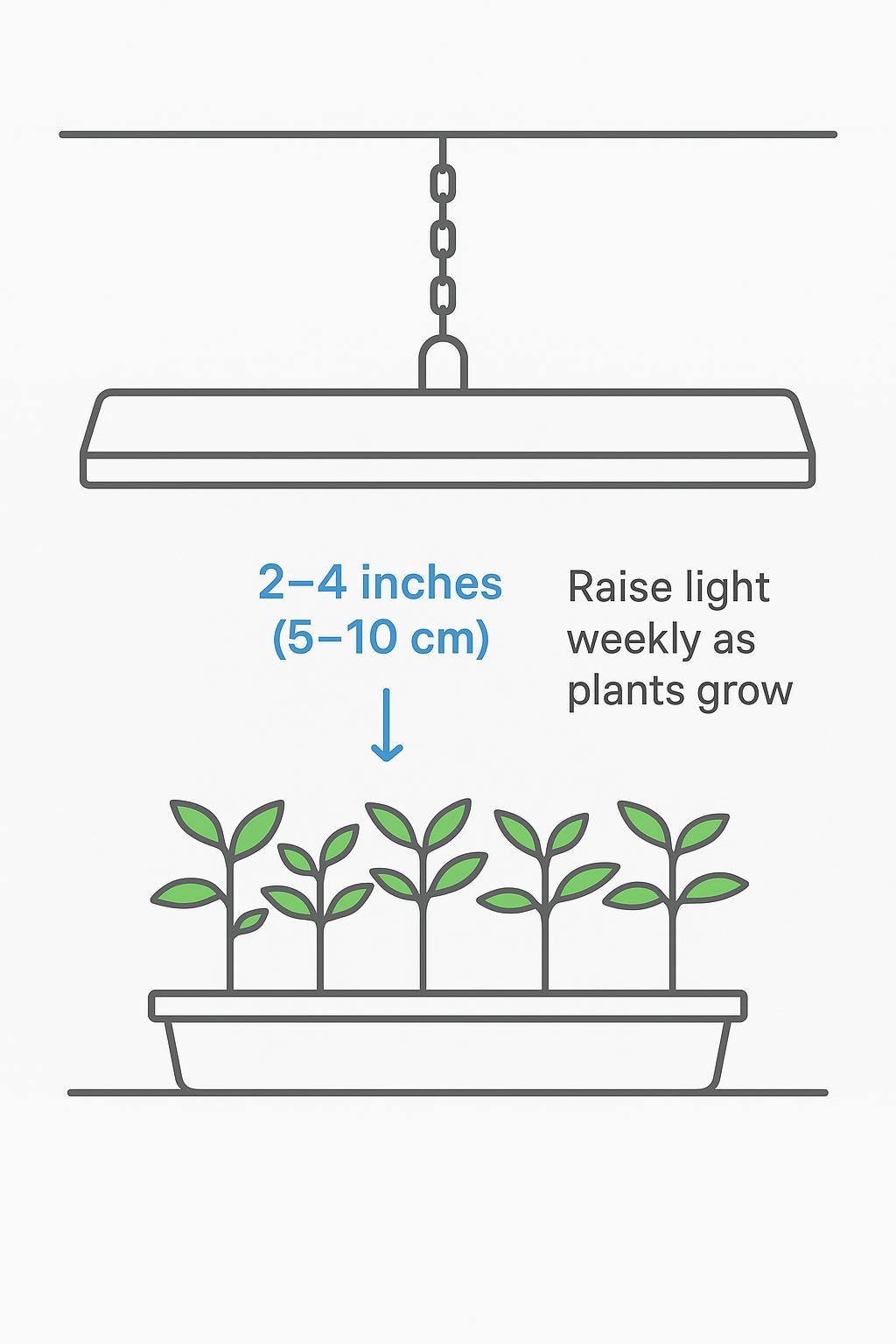 How to Use Grow Lights for Tomato Seedlings | 1416 Hour Guide