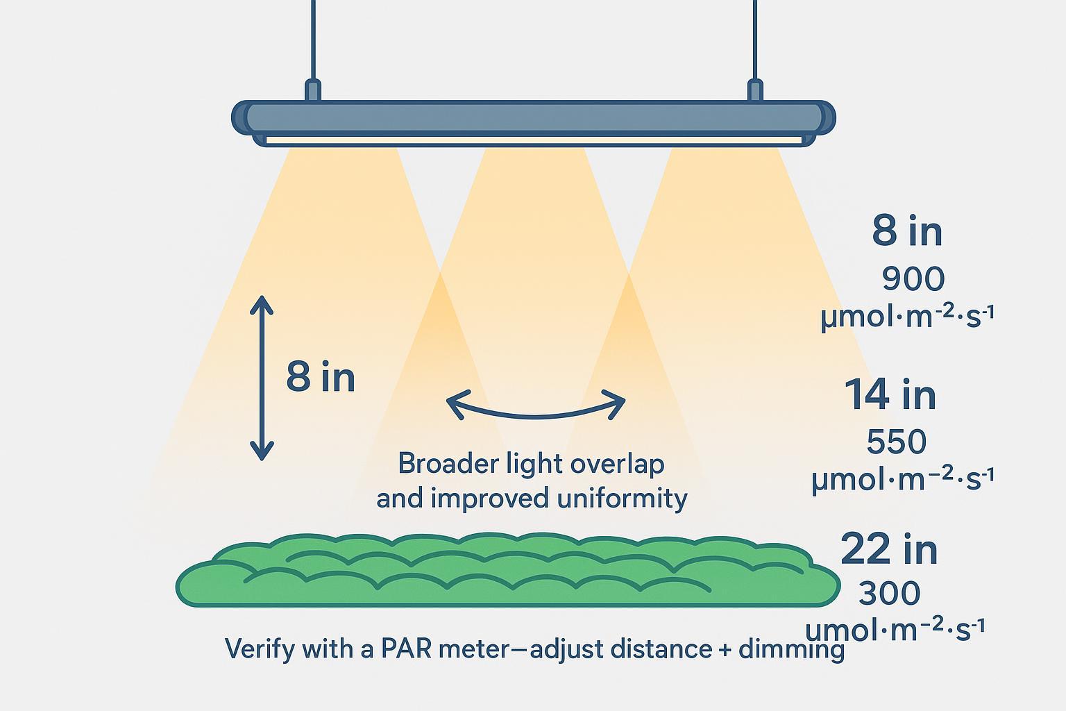 Diagram illustrating LED grow light distance from plant and corresponding PPFD levels at 8, 14, and 22 inches