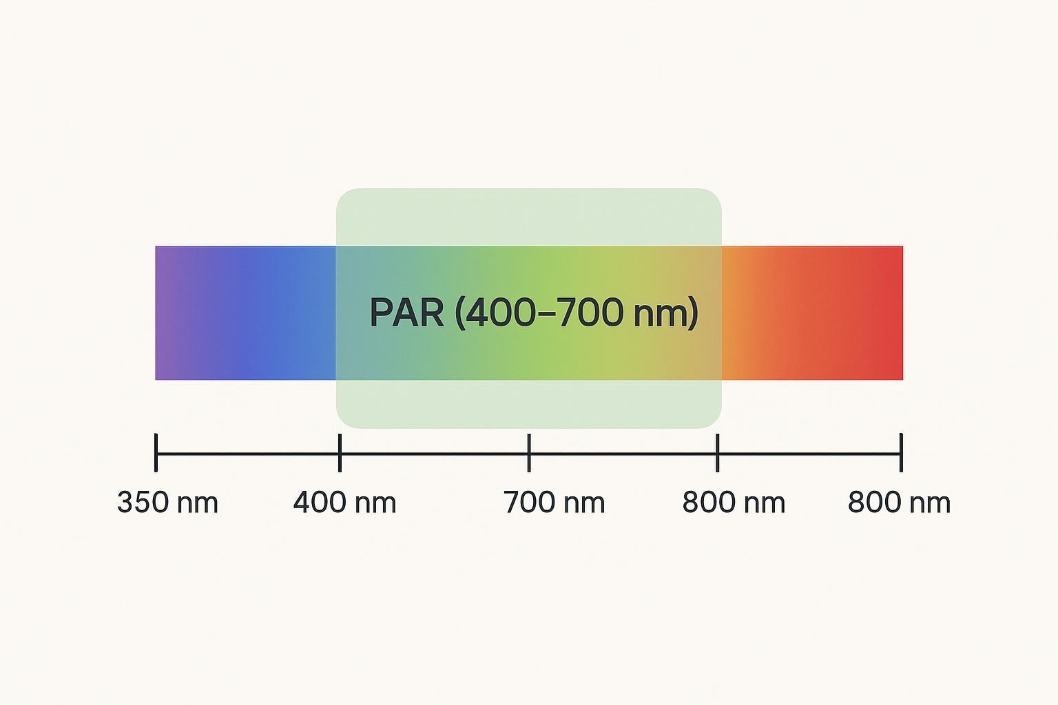 Infographic spectrum showing the PAR range highlighted between 400 and 700 nm