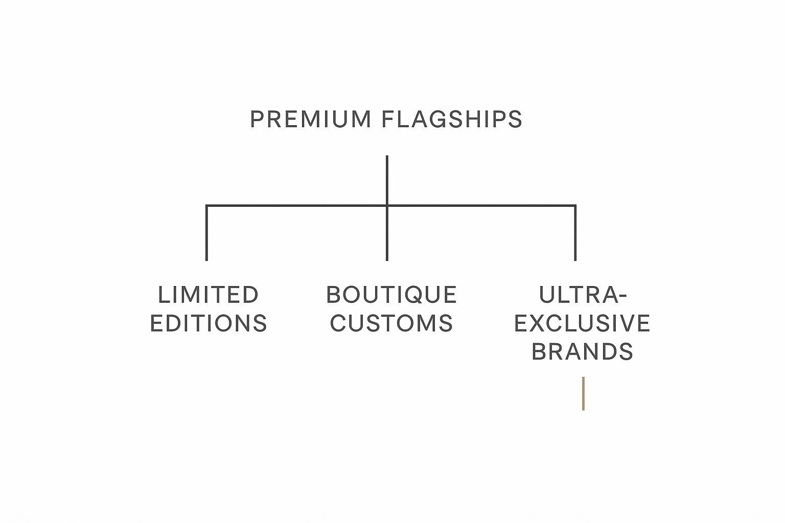 Infographic taxonomy chart mapping premium flagships, limited editions, boutique customs, and ultra exclusive brands